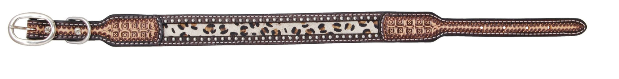 Rafter T Ranch Co Leopard Print Hair on Inlay Dog Collar STYLE RTDC401-L