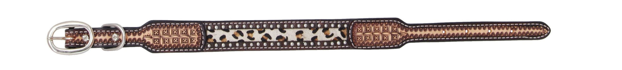 Rafter T Ranch Co Leopard Print Hair on Inlay Dog Collar STYLE RTDC401-M