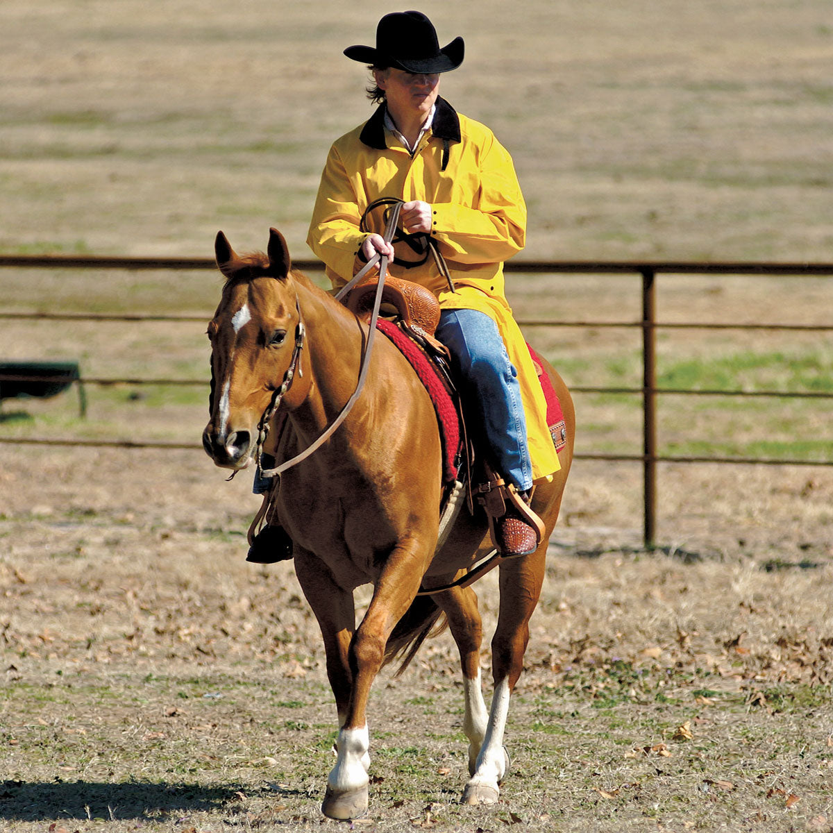 Double S Adult Saddle Slicker in Yellow STYLE 1213018