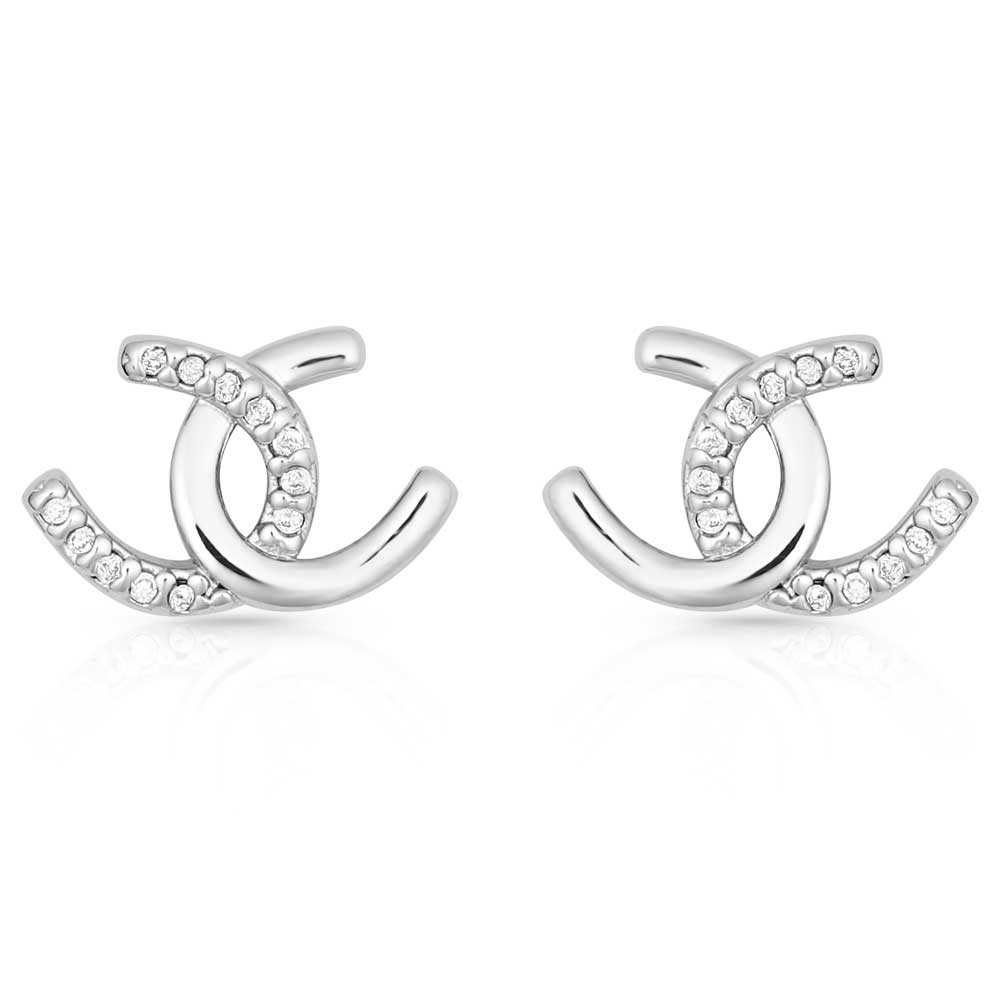 Montana Silversmiths Horshoe Happiness Earrings STYLE ER4505