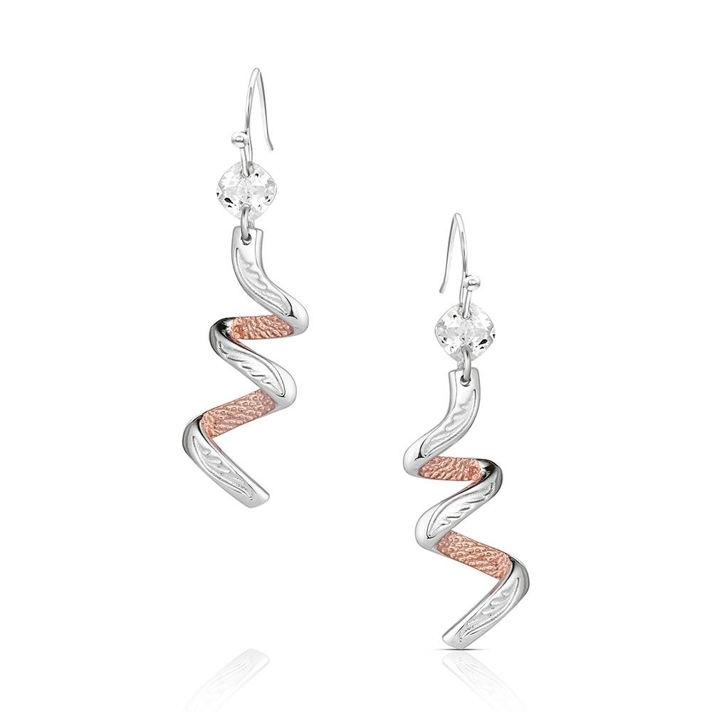 Montana Silversmiths Two Tone Earrings STYLE ER6463