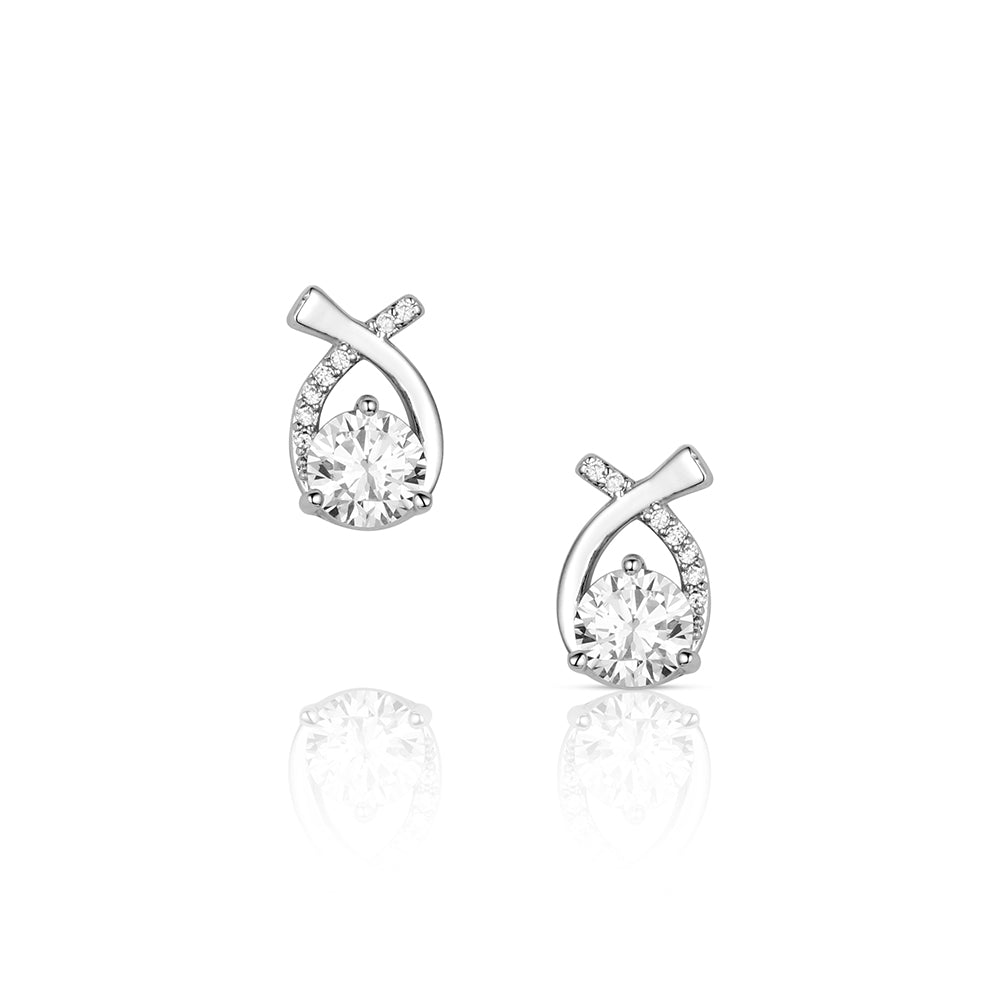 Montana Silversmiths Faithful Stream Earrings STYLE ER6626