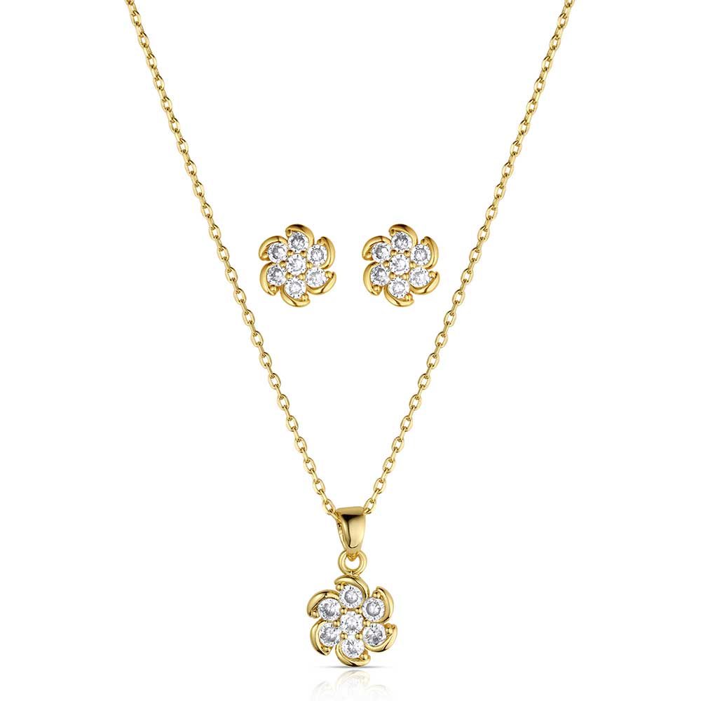 Montana Silversmiths Crystal Jewelry Set STYLE JS6552