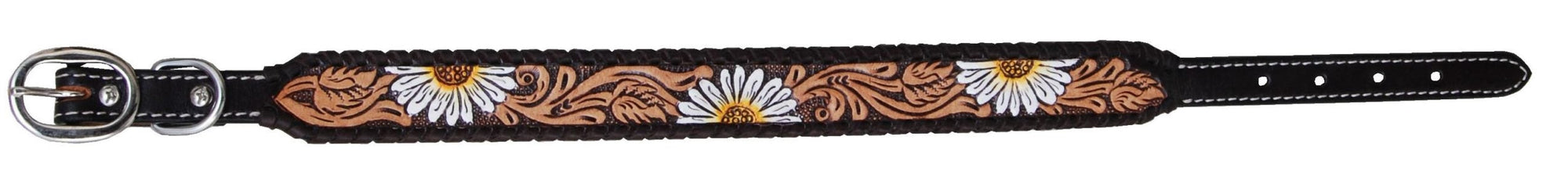Rafter T Ranch Co Tooled/Hand Painted Dog Collar STYLE RTDC380-L