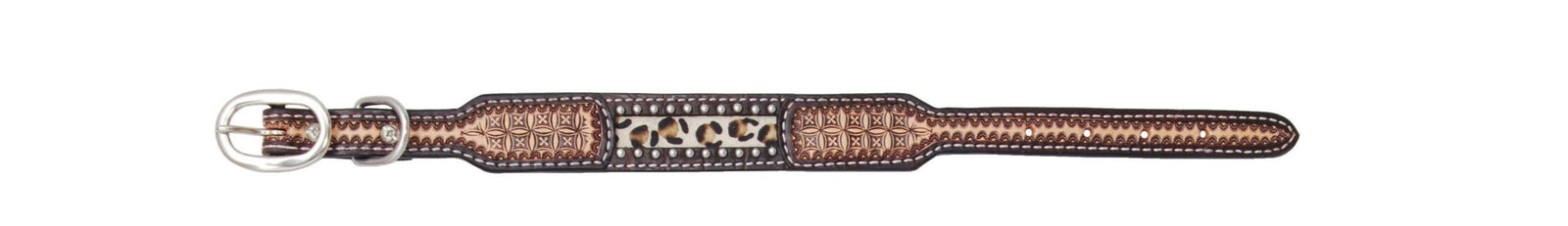 Rafter T Ranch Co Leopard Print Hair on Inlay Dog Collar STYLE RTDC401-S